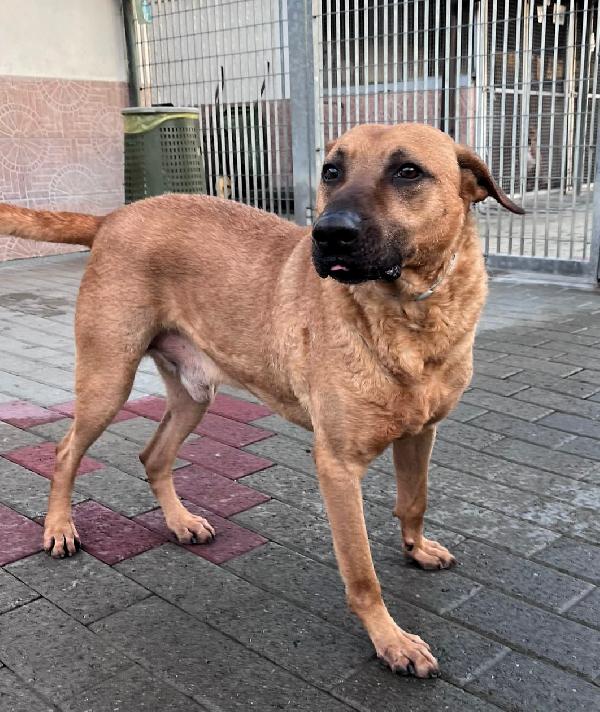 ARGO CERCA CASA Foto 3